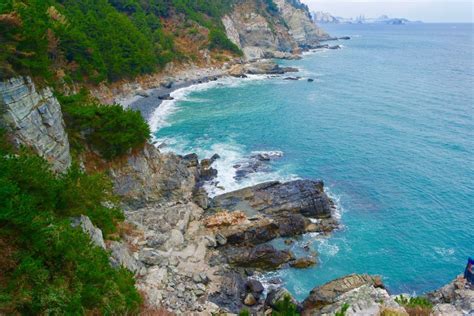  Il Giardino di Taejongdae: Un Paradiso Costiero che Innamorerà i Vostri Sensi!