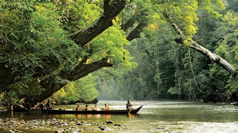 Taman Negara: Un antico santuario della natura e un rifugio per avventurieri!